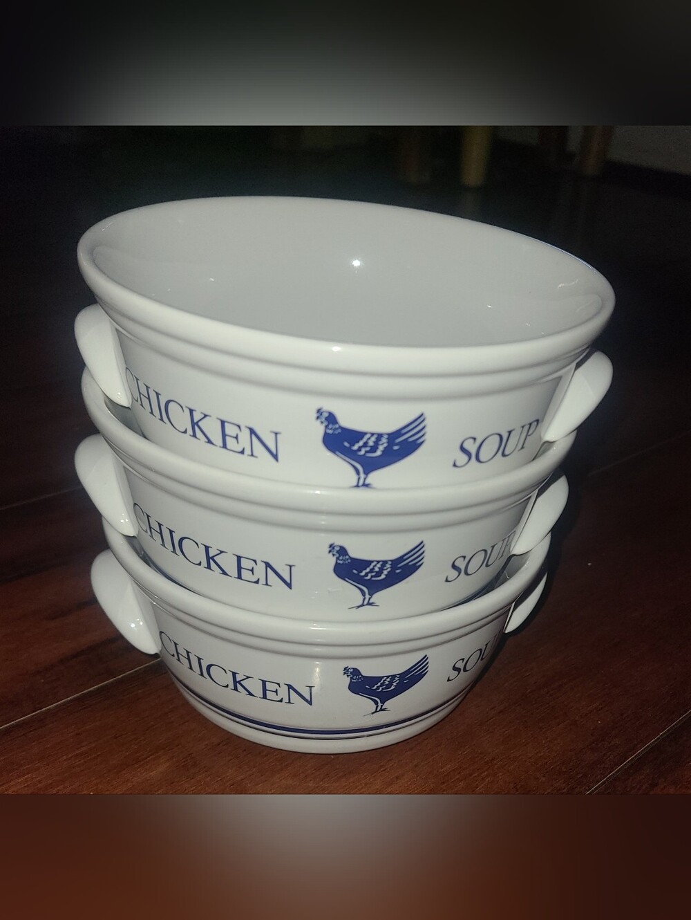 Vintage 1980s FTDA Chicken Soup Bowls Set of 3 - Excellent Condition Blue & Whit